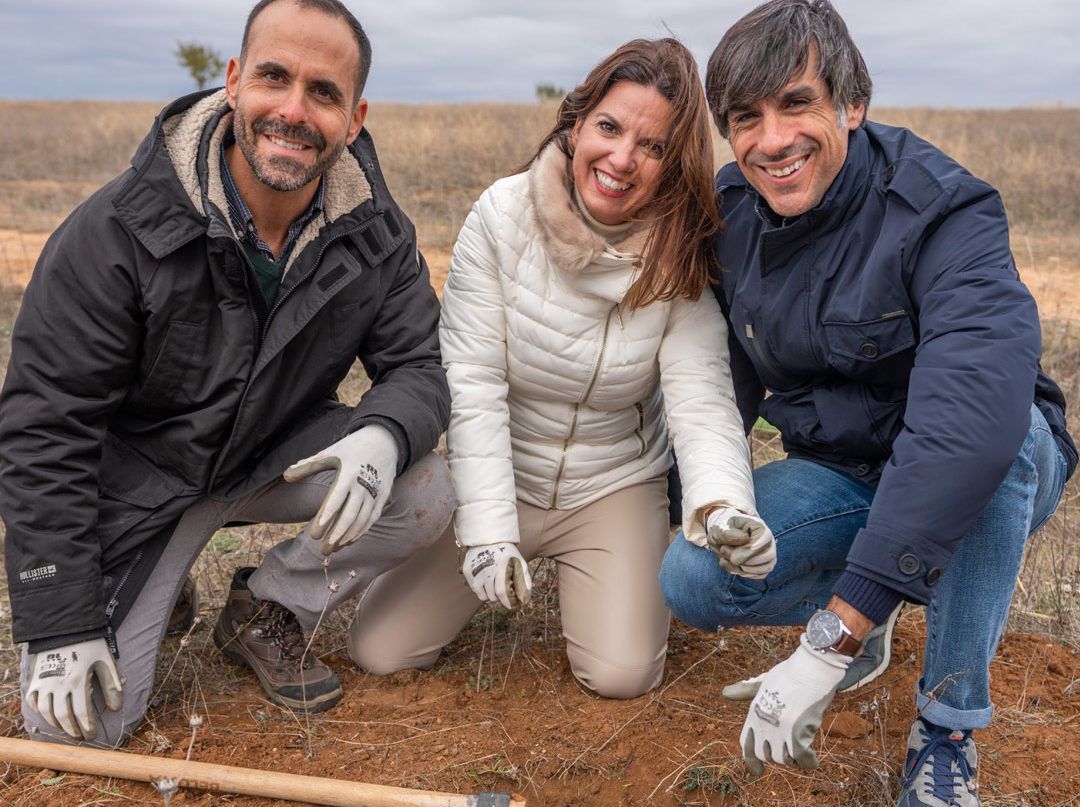 NOTICIA-arbol