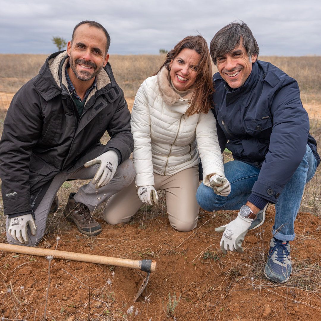 NOTICIA-arbol